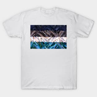 Oriented AroAce Flag T-Shirt